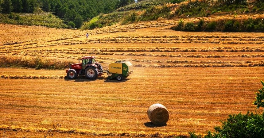 Tributaci�n derivada de un contrato de alquiler de finca agr�cola